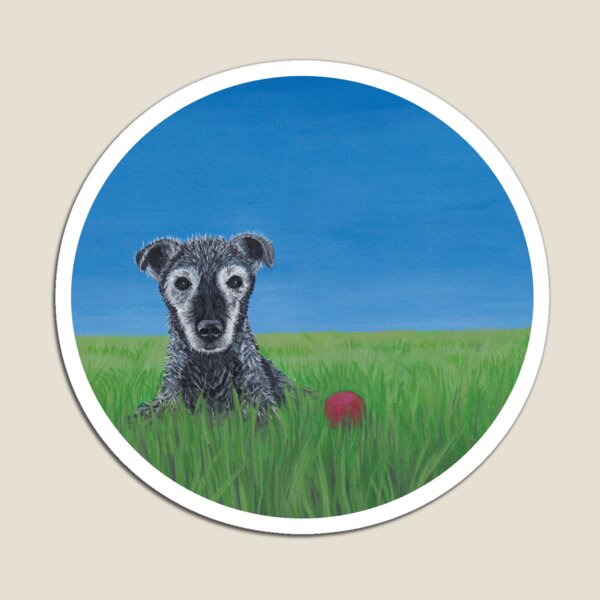 Item preview, Zed, My Patterdale, happy with blue skies and a ball designed and sold by PatterdaleZed.