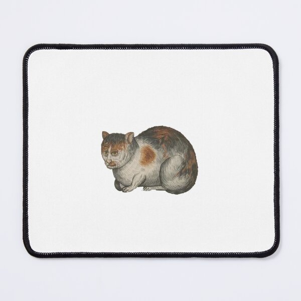 Item preview, Medieval cat designed and sold by memesanatomy.