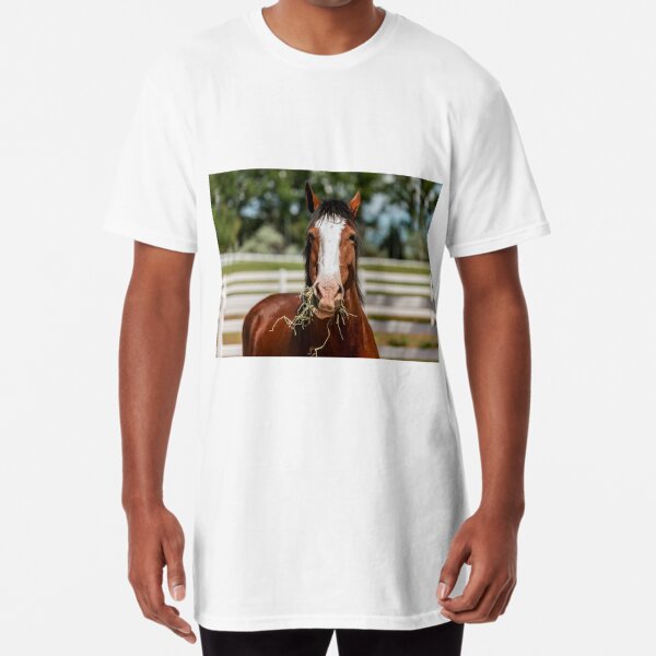 Budweiser Clydesdale T-Shirts | Redbubble