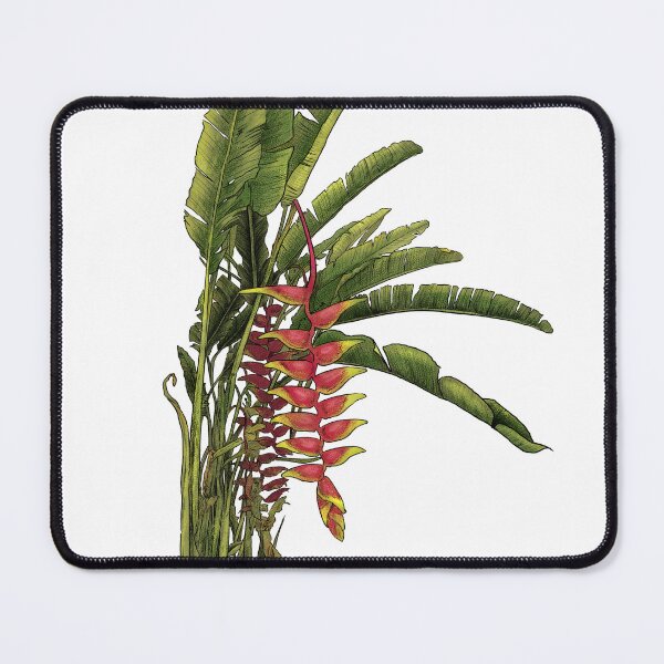 Item preview, Heliconia designed and sold by Mariet Vergara.