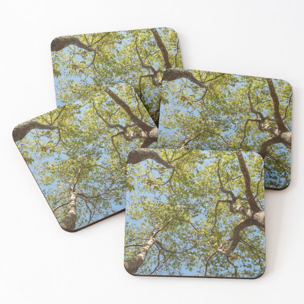 Item preview, Under the Canopy designed and sold by VickyVickoula.