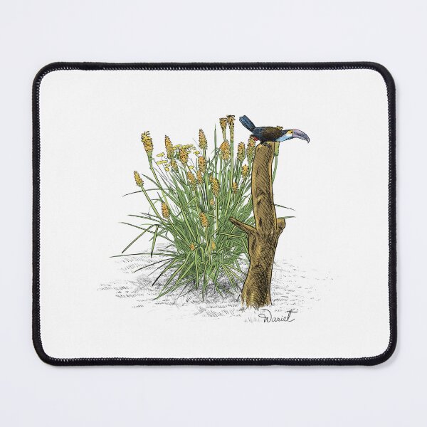 Item preview, toucan designed and sold by Mariet Vergara.