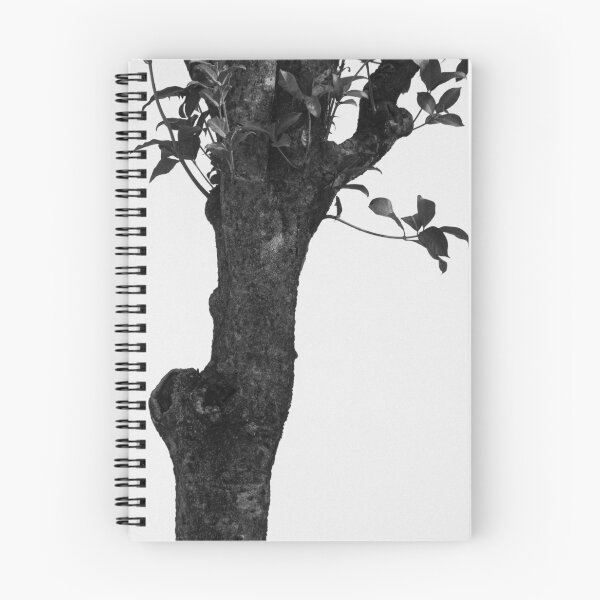 Item preview, Nijo Castle Tree designed and sold by David Bowman.