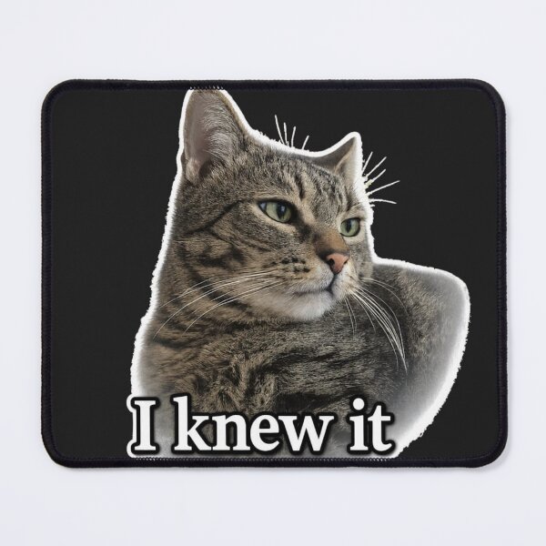 Item preview, Funny Cat Moments. I Knew It designed and sold by Nika Art Studio.