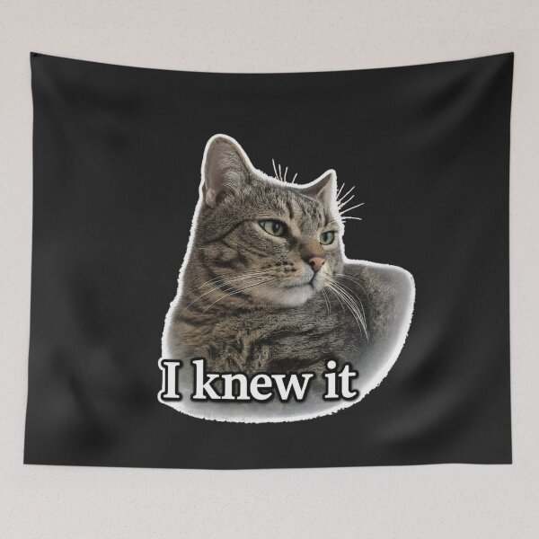 Item preview, Funny Cat Moments. I Knew It designed and sold by Nika Art Studio.