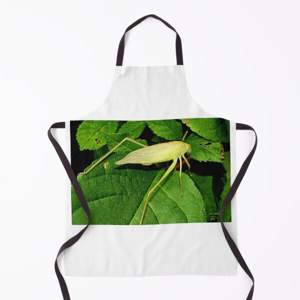 Item preview, Oblong-winged Katydid Insect on Foliage designed and sold by AMacGPhilly.