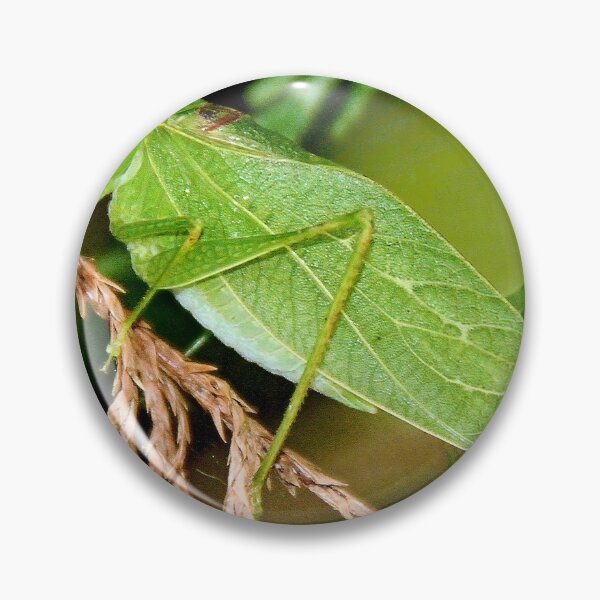 Item preview, Angular-winged Katydid, Grasshopper-Like Insect designed and sold by AMacGPhilly.