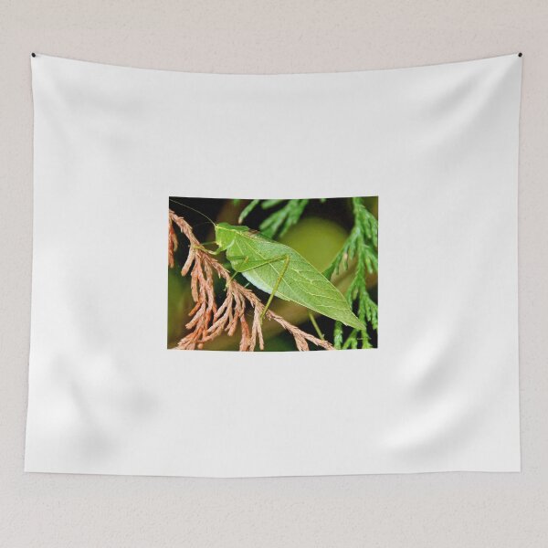 Item preview, Angular-winged Katydid, Grasshopper-Like Insect designed and sold by AMacGPhilly.