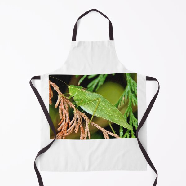 Item preview, Angular-winged Katydid, Grasshopper-Like Insect designed and sold by AMacGPhilly.
