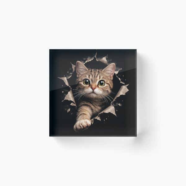 Item preview, Cat Torn Cloth designed and sold by jolihanot.