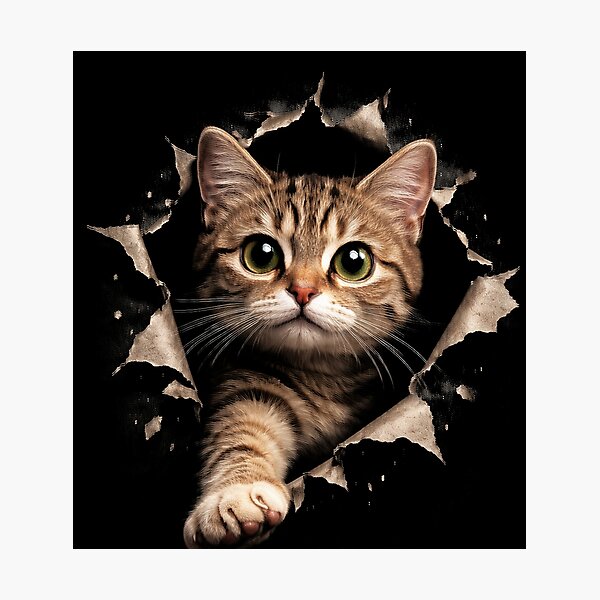 Item preview, Cat Torn Cloth designed and sold by jolihanot.