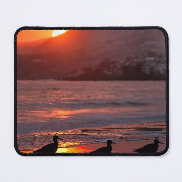 Item preview, 3 Little Birds Basking in the sunset designed and sold by kreativejooce.