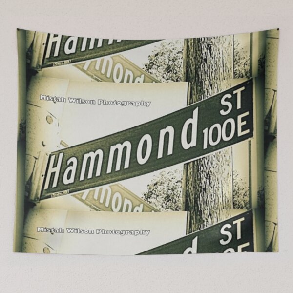 Item preview, Hammond Street, Pasadena, CA by Mistah Wilson designed and sold by The Street Sign Store.