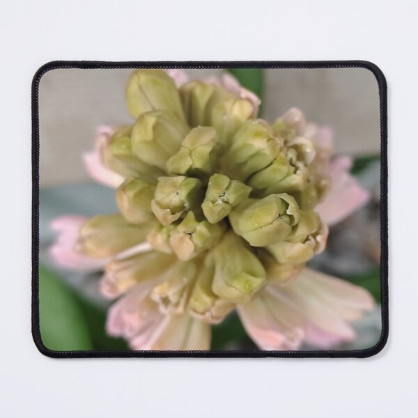 Item preview, Romantic Bloom  designed and sold by SCTBUFFALOPHOTO.