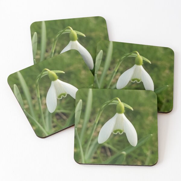 Item preview, Fairy Bloom  designed and sold by SCTBUFFALOPHOTO.