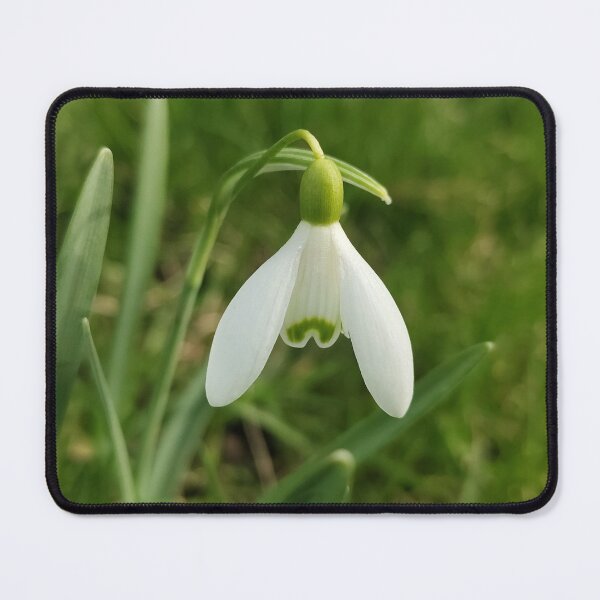Item preview, Fairy Bloom  designed and sold by SCTBUFFALOPHOTO.