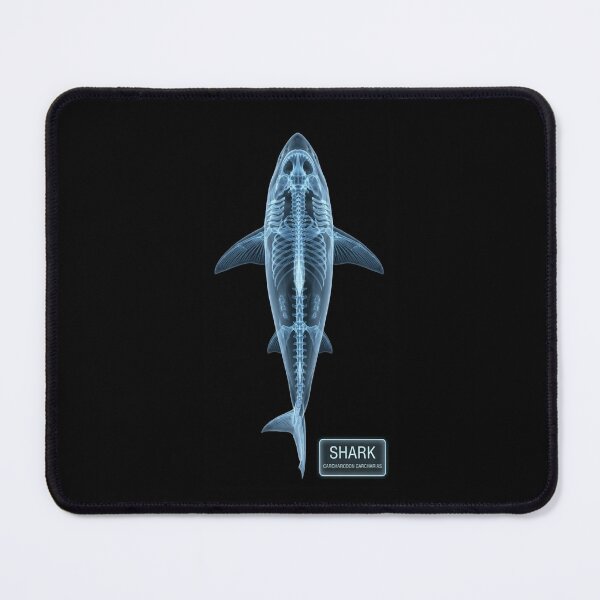 Item preview, Great White Shark Skeleton X-Ray Anatomy Design designed and sold by octozap.