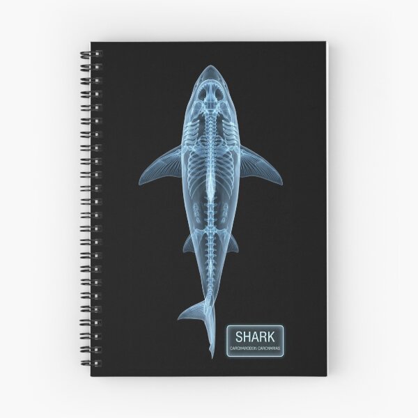 Item preview, Great White Shark Skeleton X-Ray Anatomy Design designed and sold by octozap.
