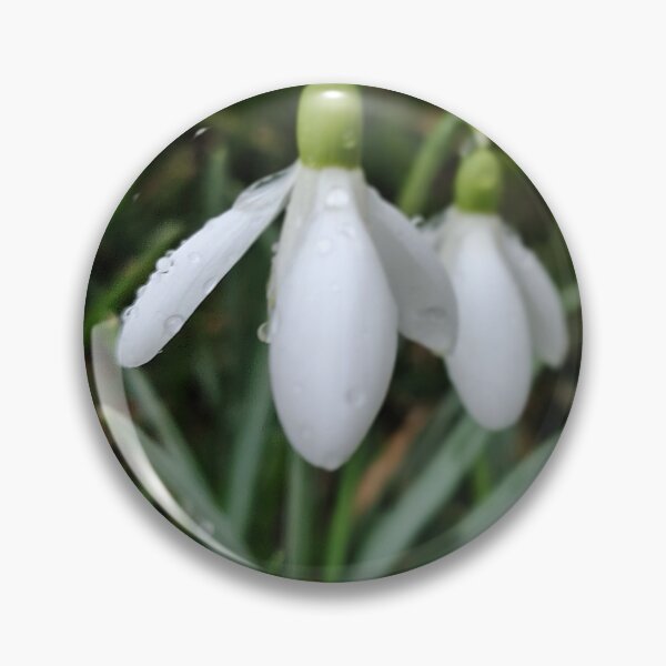 Item preview, A Watery Snowdrop Portrait  designed and sold by SCTBUFFALOPHOTO.