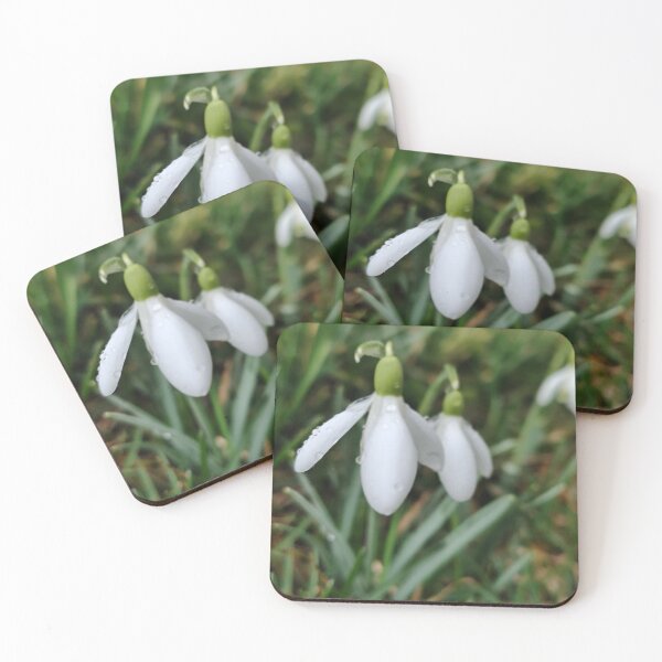 Item preview, A Watery Snowdrop Portrait  designed and sold by SCTBUFFALOPHOTO.