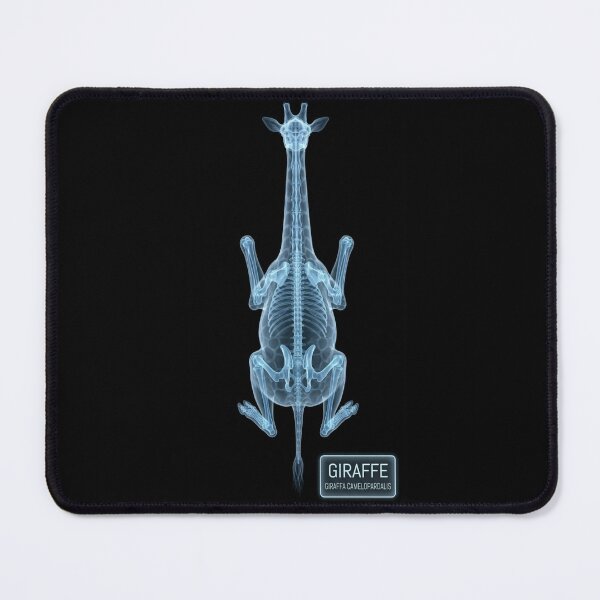 Item preview, Giraffe Skeleton X-Ray Anatomy Blue Design designed and sold by octozap.