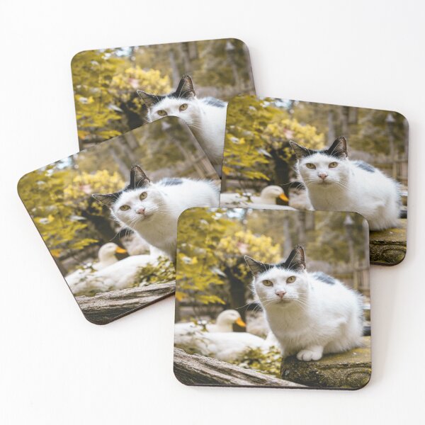 Item preview, White Cat Autumn Garden Portrait with Duck Fall Photography designed and sold by MDCCo.
