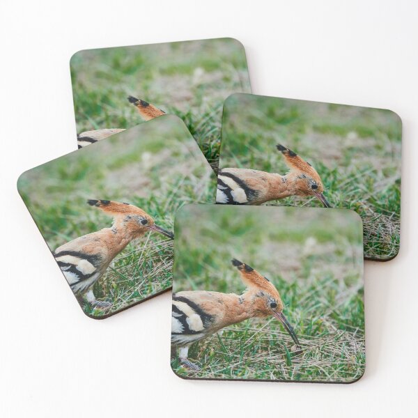 Item preview, Eurasian Hoopoe II designed and sold by Eidetic Photos.