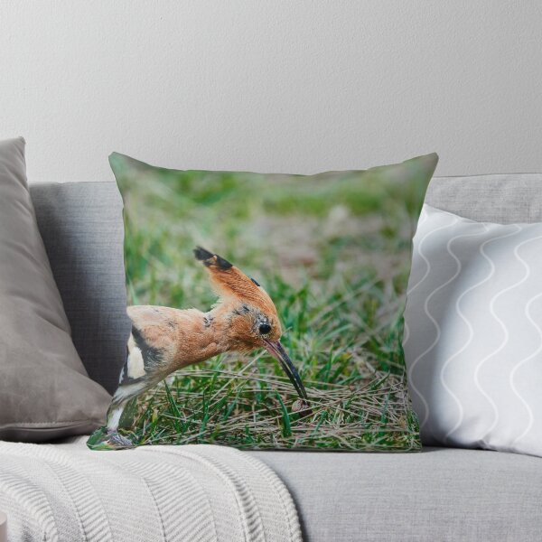 Item preview, Eurasian Hoopoe II designed and sold by Eidetic Photos.