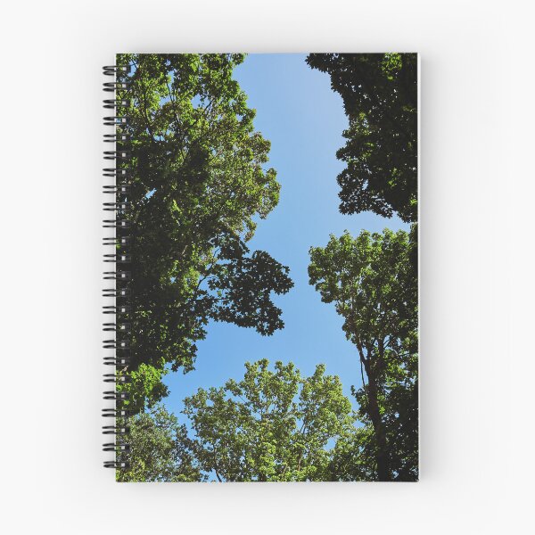 Item preview, Treeline Hoopoe designed and sold by Eidetic Photos.