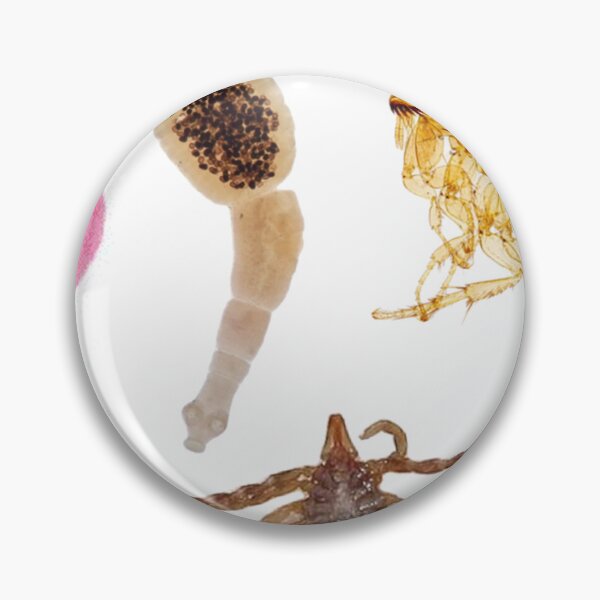 Item preview, Parasites designed and sold by joshuapaech.
