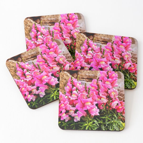 Item preview, Pink snapdragon  designed and sold by Courtney Croxall.