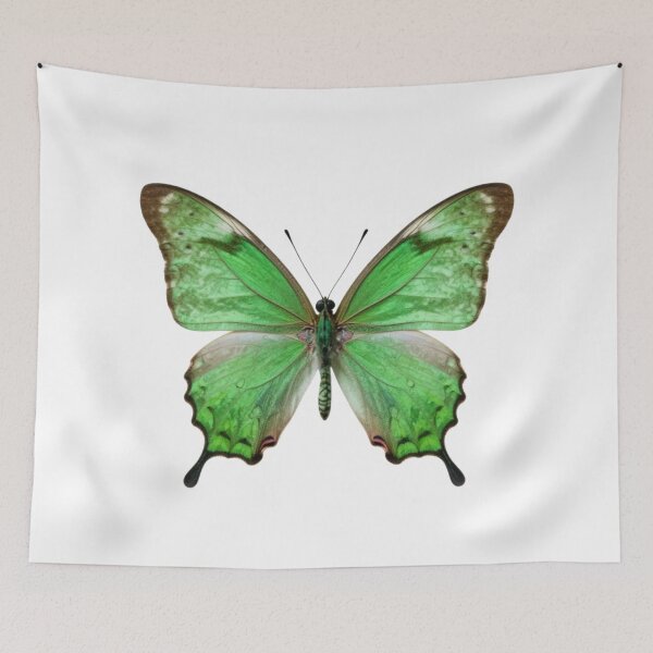 Item preview, Emerald Green Butterfly Graphic designed and sold by Express210.