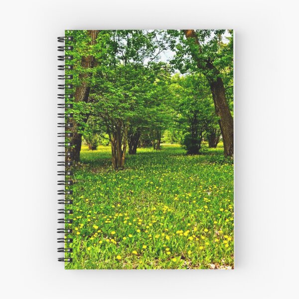 Item preview, Forest clearing designed and sold by Courtney Croxall.