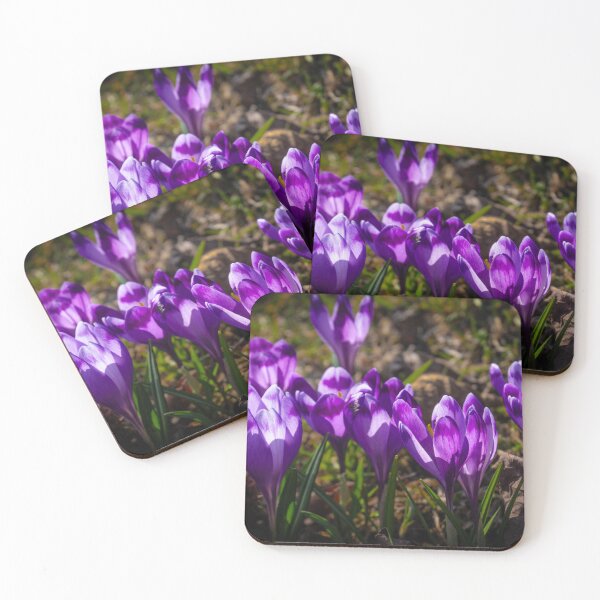 Item preview, Spring crocuses designed and sold by YarekPhoto.