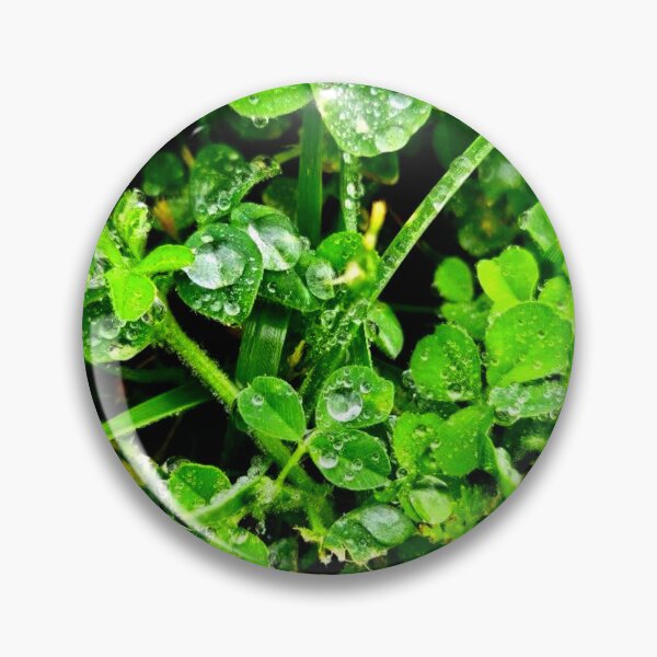 Item preview, Green clovers designed and sold by Courtney Croxall.