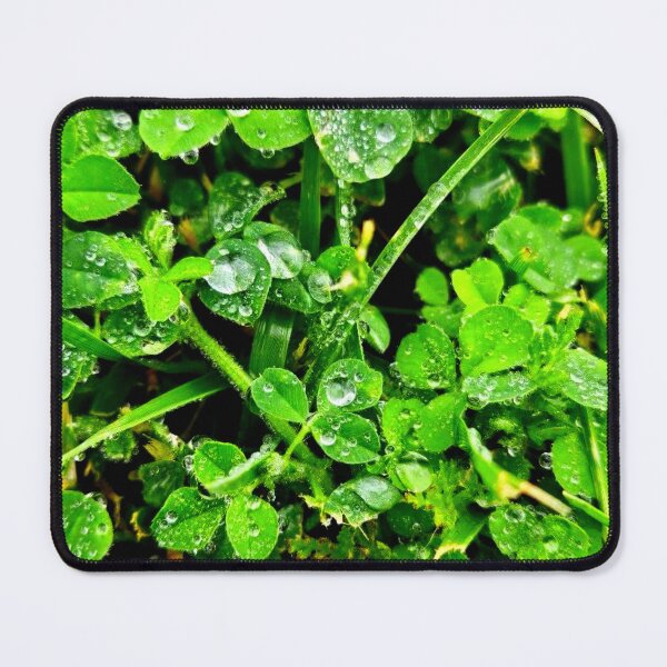 Item preview, Green clovers designed and sold by Courtney Croxall.