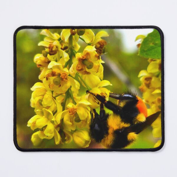 Item preview, Bumblebee designed and sold by Courtney Croxall.