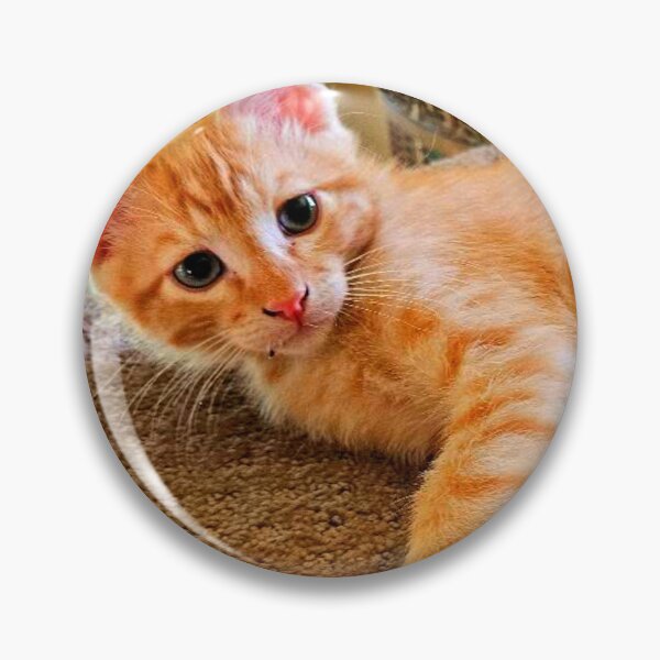 Item preview, Tabby designed and sold by Courtney Croxall.