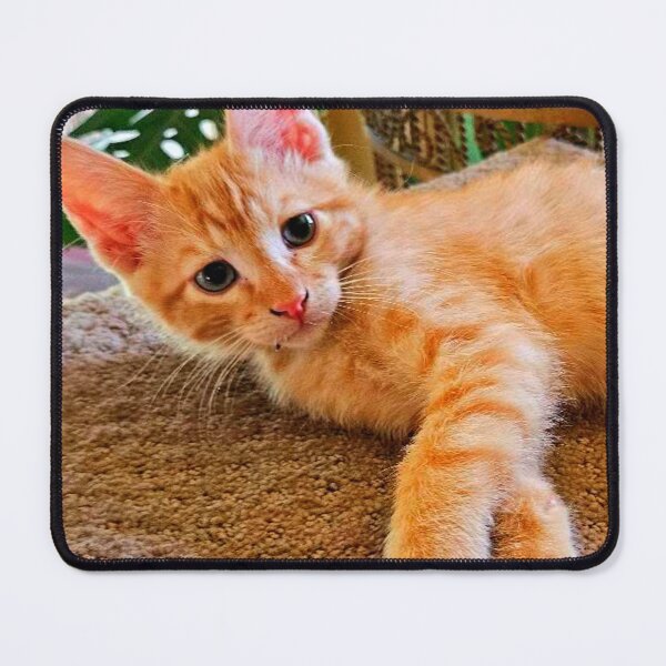 Item preview, Tabby designed and sold by Courtney Croxall.