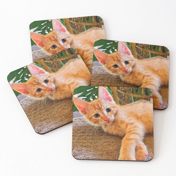 Item preview, Tabby designed and sold by Courtney Croxall.