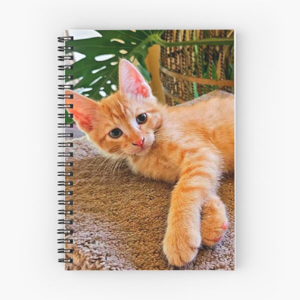 Item preview, Tabby designed and sold by Courtney Croxall.