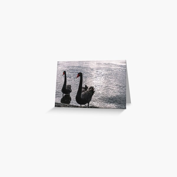 Vista previa del artículo con la obra «Black Swans II, Nueva Zelanda», diseñado y vendido por Eleanor Cox.
