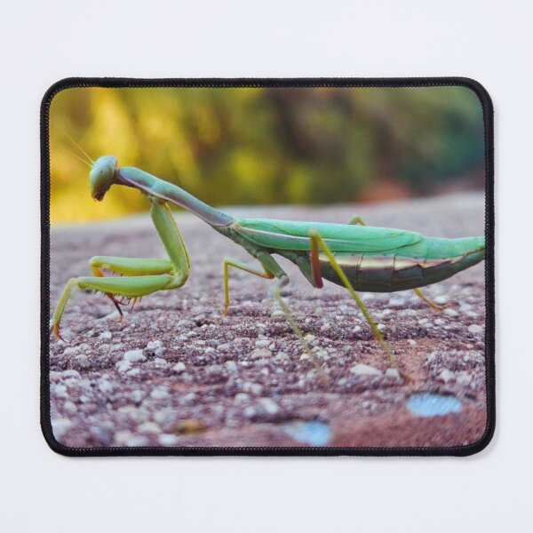 Item preview, Mantis designed and sold by Courtney Croxall.