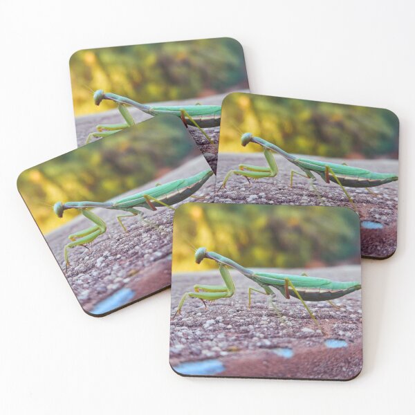 Item preview, Mantis designed and sold by Courtney Croxall.