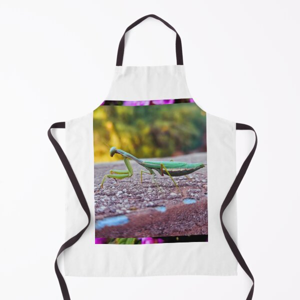 Item preview, Mantis designed and sold by Courtney Croxall.