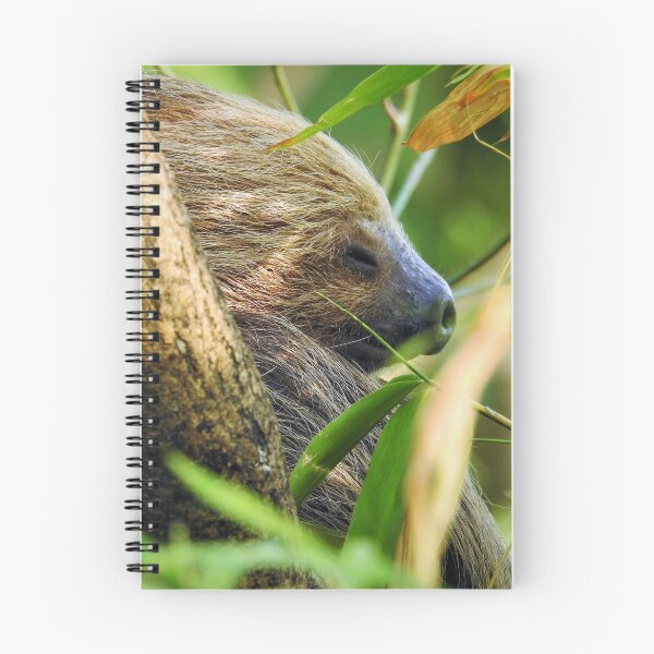 Item preview, sleepy 3 toed sloth designed and sold by StudioCorvid.