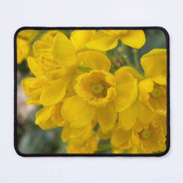 Item preview, Blowing Blooms designed and sold by Betsy Phillips.