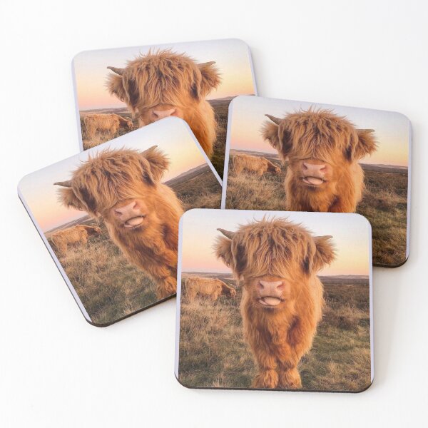 Item preview, Scottish Highland Cow designed and sold by Spring Things.