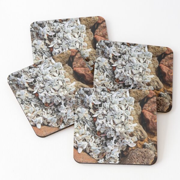 Item preview, Lichens designed and sold by Courtney Croxall.