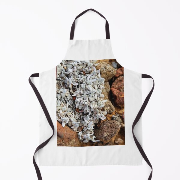 Item preview, Lichens designed and sold by Courtney Croxall.